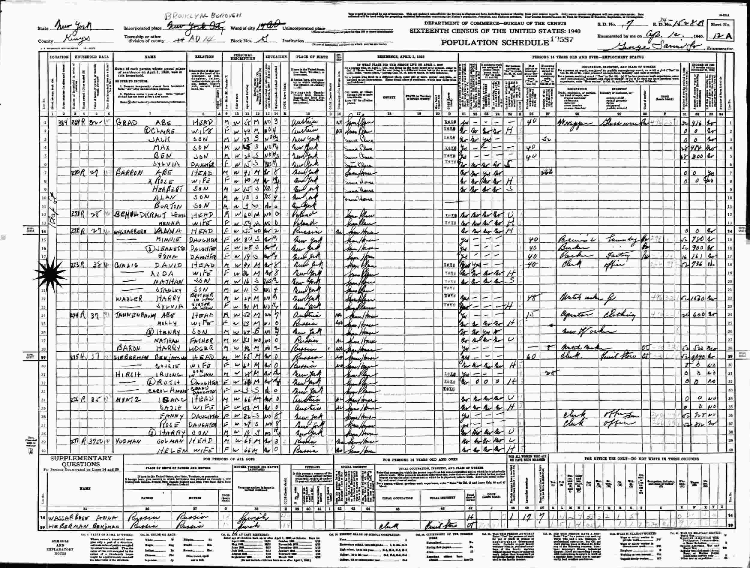 1925 new york census column 12