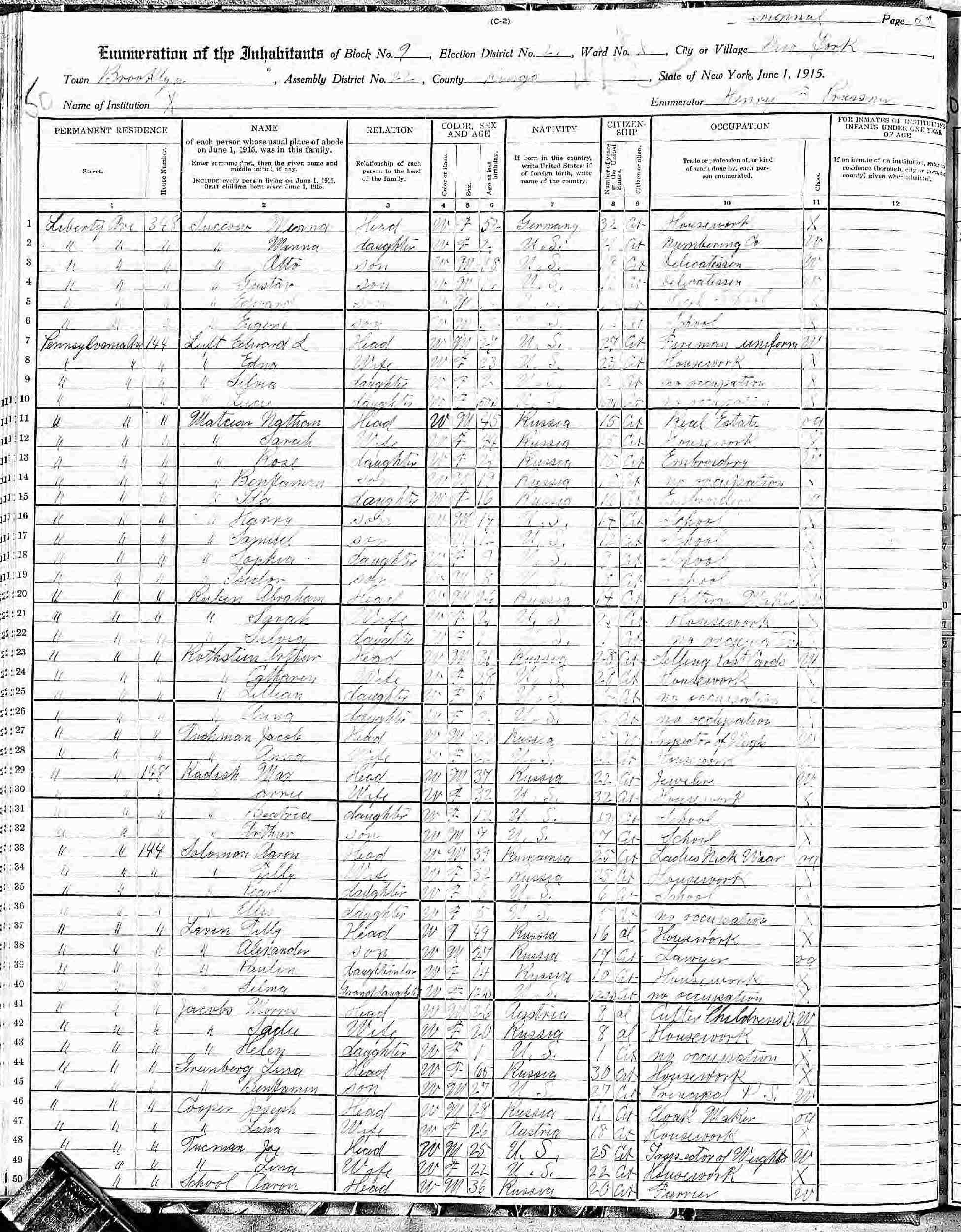 1925 new york census